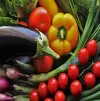 بذر سبزی و صیفی 